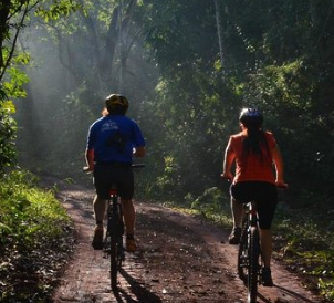 Excursion a la Selva en Bici {activities-custom-search}